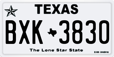 TX license plate BXK3830
