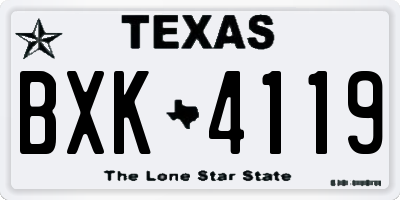 TX license plate BXK4119