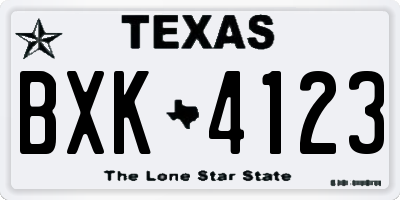 TX license plate BXK4123