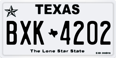 TX license plate BXK4202