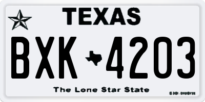 TX license plate BXK4203
