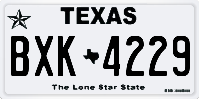 TX license plate BXK4229