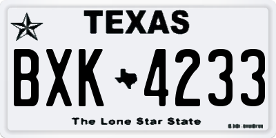 TX license plate BXK4233