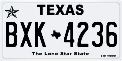 TX license plate BXK4236