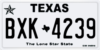 TX license plate BXK4239