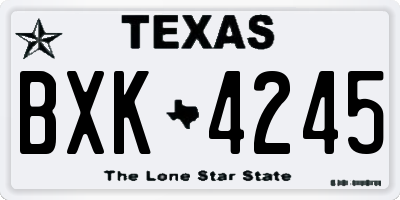 TX license plate BXK4245
