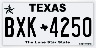 TX license plate BXK4250