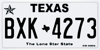 TX license plate BXK4273