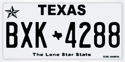 TX license plate BXK4288