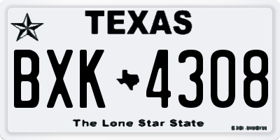 TX license plate BXK4308