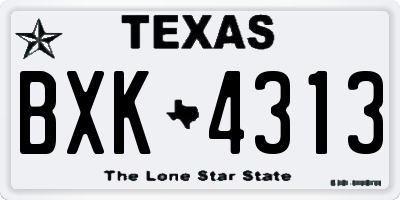 TX license plate BXK4313