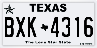 TX license plate BXK4316