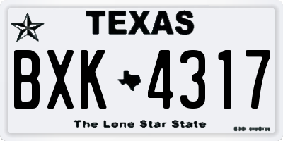 TX license plate BXK4317
