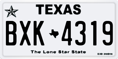 TX license plate BXK4319