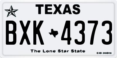 TX license plate BXK4373