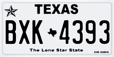 TX license plate BXK4393