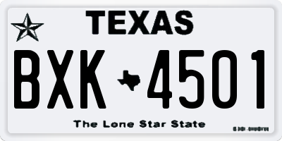 TX license plate BXK4501