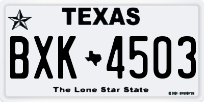 TX license plate BXK4503