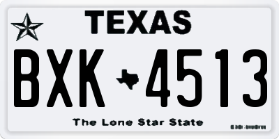 TX license plate BXK4513