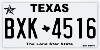 TX license plate BXK4516