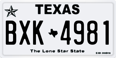 TX license plate BXK4981