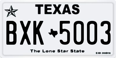 TX license plate BXK5003