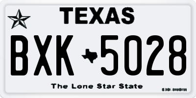 TX license plate BXK5028