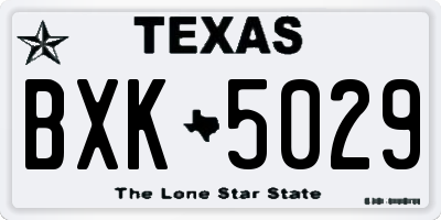 TX license plate BXK5029