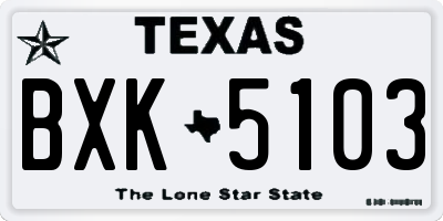 TX license plate BXK5103
