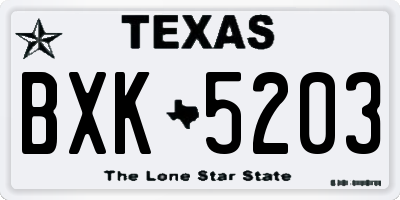 TX license plate BXK5203