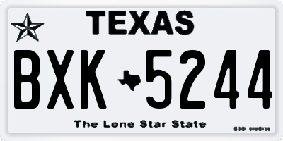 TX license plate BXK5244