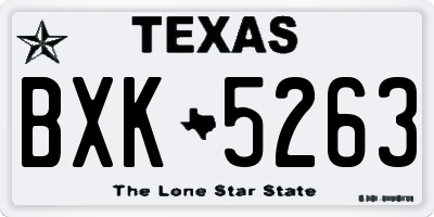 TX license plate BXK5263
