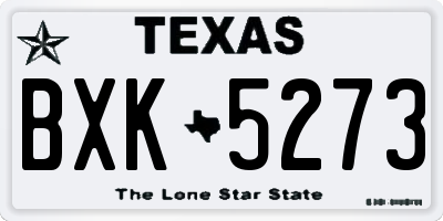 TX license plate BXK5273