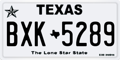 TX license plate BXK5289