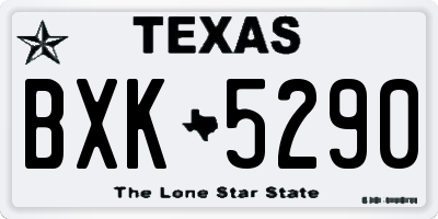 TX license plate BXK5290
