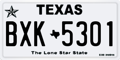 TX license plate BXK5301