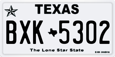 TX license plate BXK5302