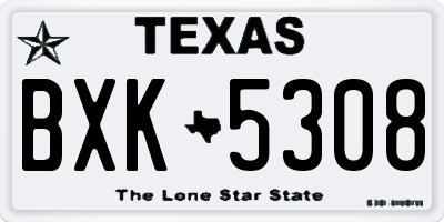 TX license plate BXK5308