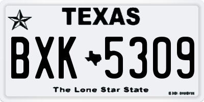 TX license plate BXK5309