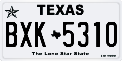 TX license plate BXK5310