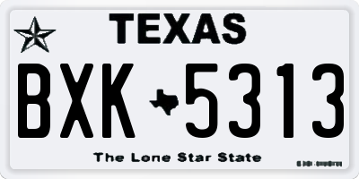 TX license plate BXK5313