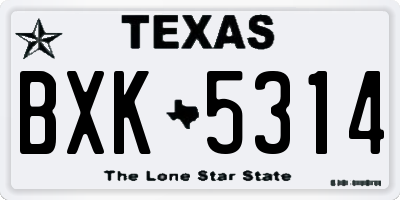 TX license plate BXK5314