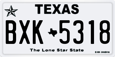 TX license plate BXK5318