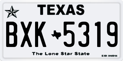 TX license plate BXK5319