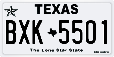 TX license plate BXK5501