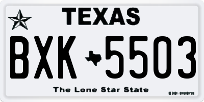 TX license plate BXK5503