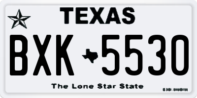 TX license plate BXK5530