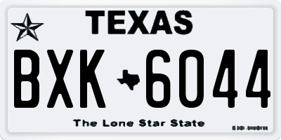 TX license plate BXK6044
