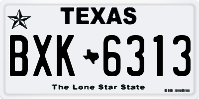 TX license plate BXK6313
