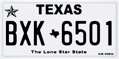 TX license plate BXK6501